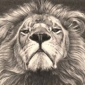 Meet your Posher, Andres